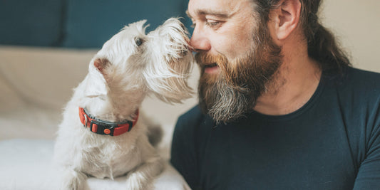 Man touching noses with senior dog