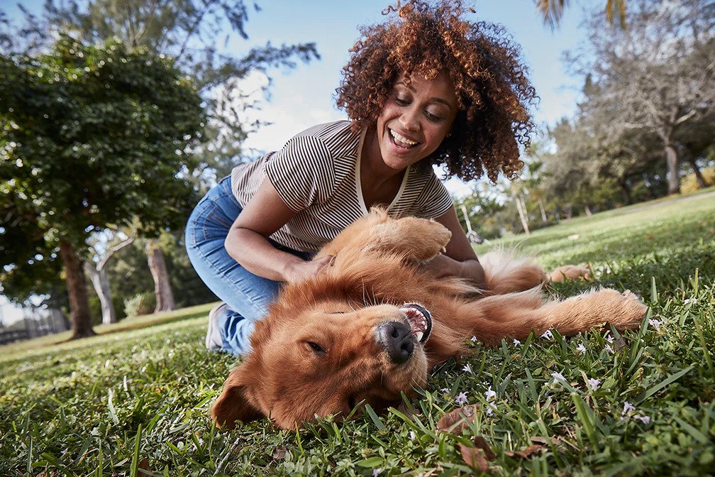 Woman and dog playing in the grass