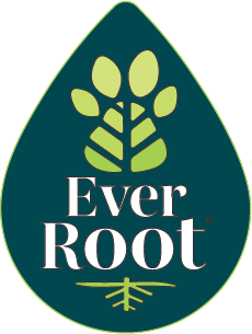 EverRoot Home