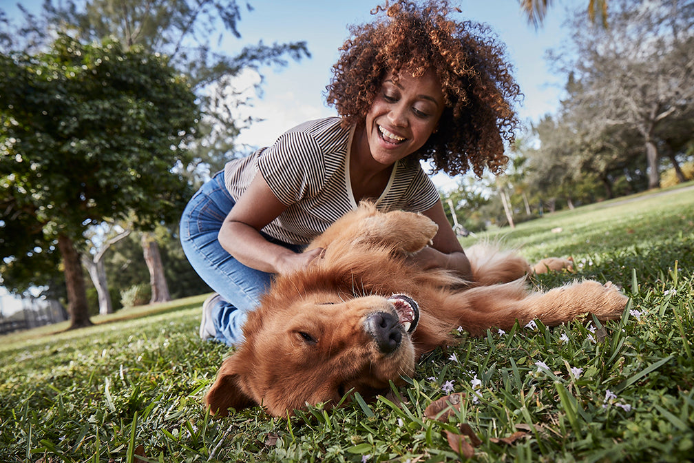 Woman playing with dog in grass