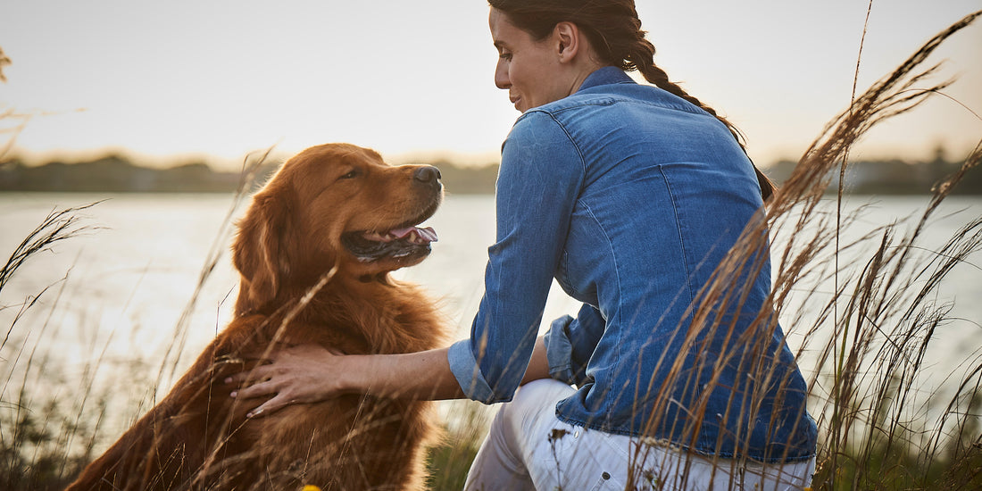 Woman petting dog in field