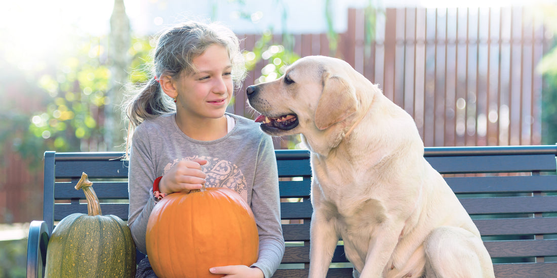 Little girl holding pumpkin next to dog