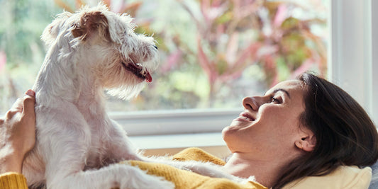 Woman and dog enjoying cozy couch time