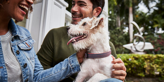 A couple sitting on a porch with their dog