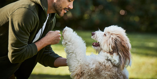 Man playing with his dog in the park