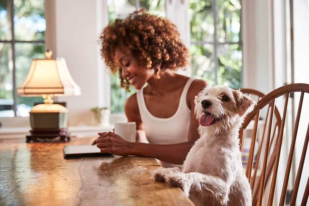 Woman and dog sitting at a table