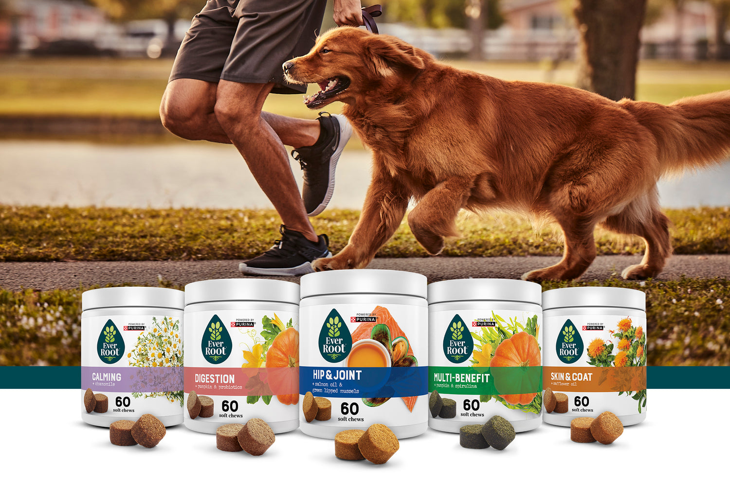 Shop Dog Supplements