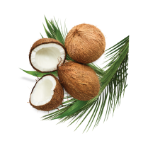 Coconuts