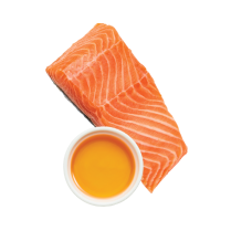 Salmon filet and salmon oil