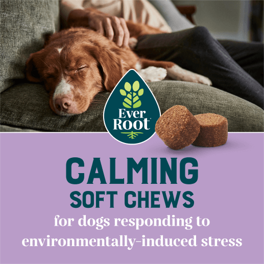 EverRoot Calming Soft Chews for dogs responding to environmentally-induced stress