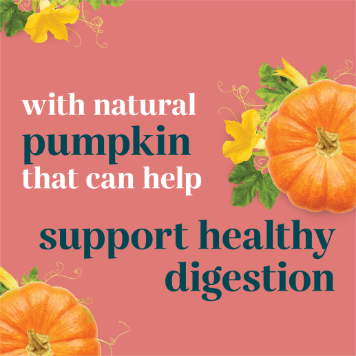 With natural pumpkin that can help support healthy digestion