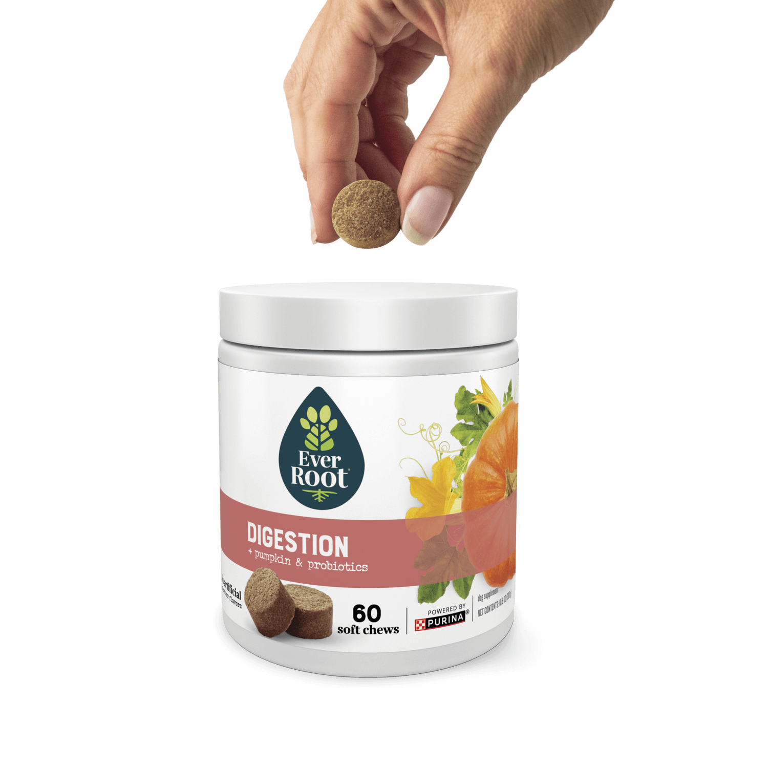 Hand holding a chew, hovering over a container of EverRoot Digestion Soft Chews