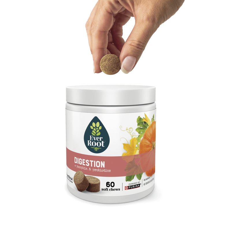 Hand holding a chew, hovering over a container of EverRoot Digestion Soft Chews