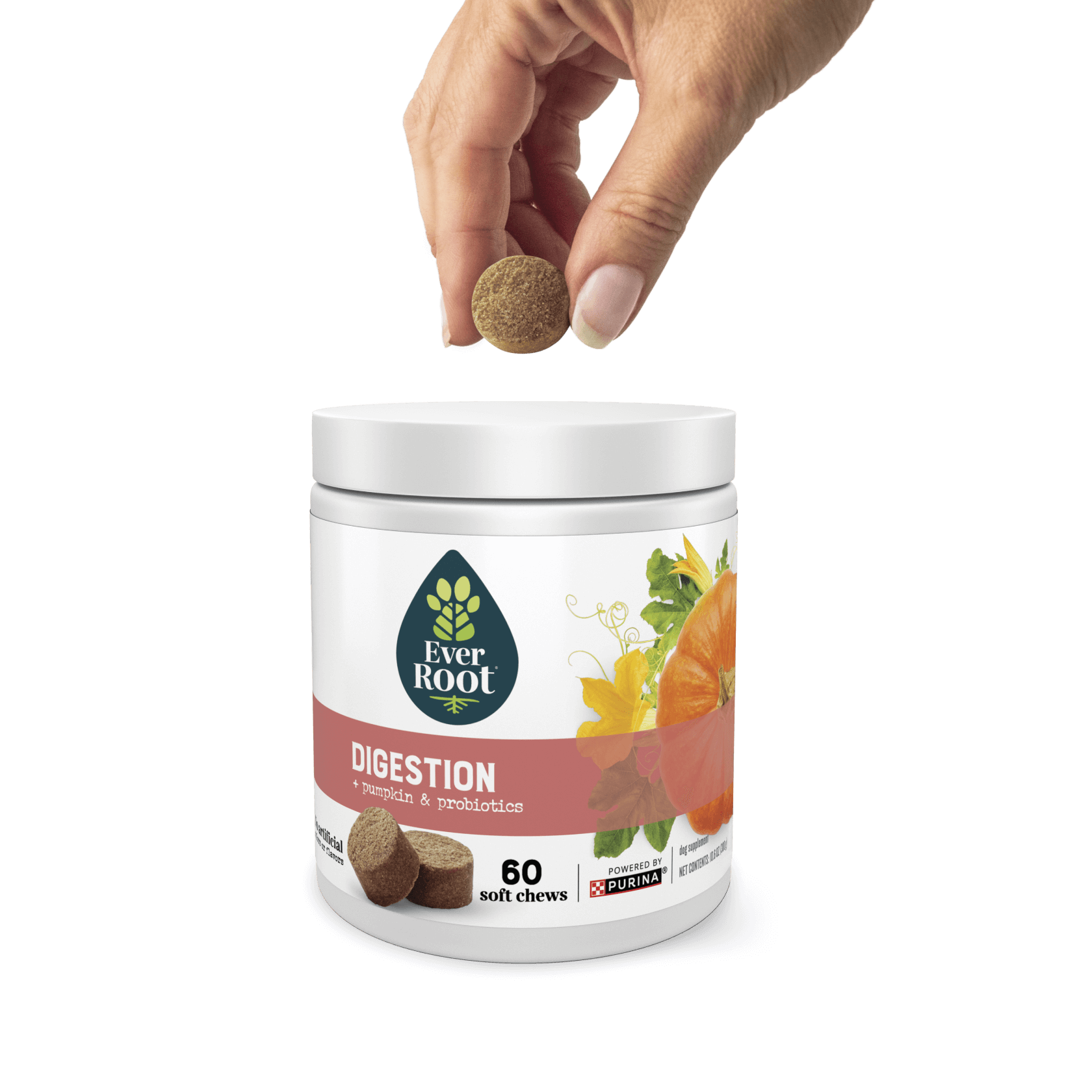 Hand holding a chew, hovering over a container of EverRoot Digestion Soft Chews