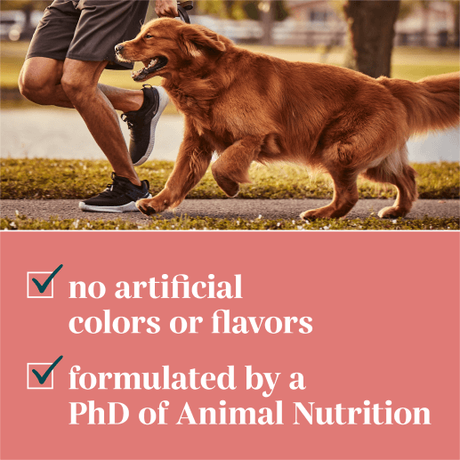 no artificial colors or flavors | formulated by a PhD of Animal Nutrition