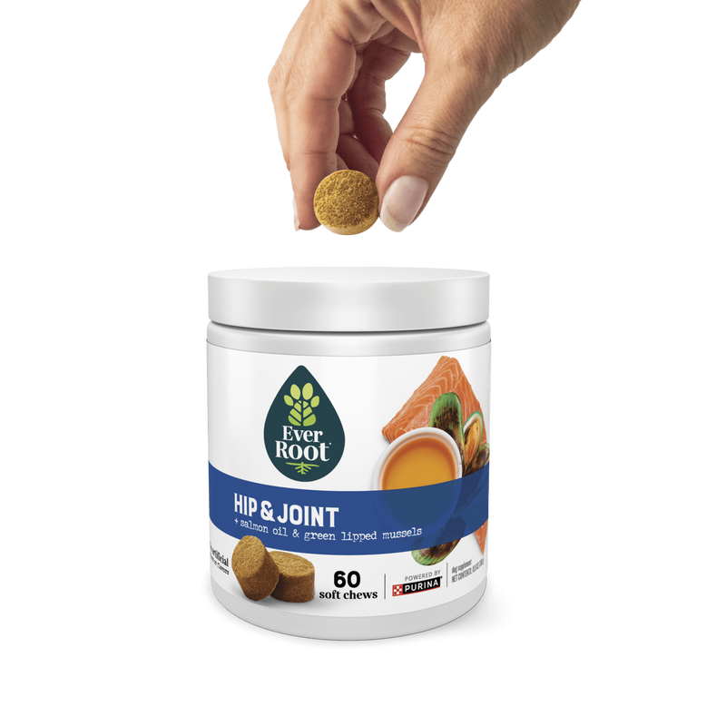 Hand holding a chew, hovering over a container of EverRoot hip and joint soft chews