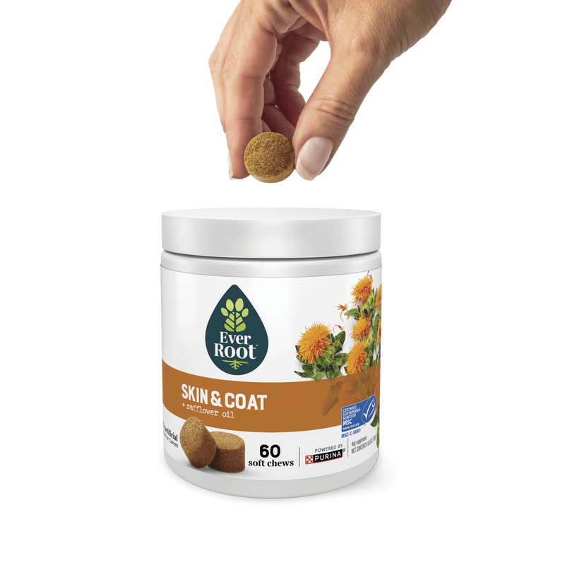 Hand holding a chew, hovering over a container of EverRoot Skin and Coat soft chews