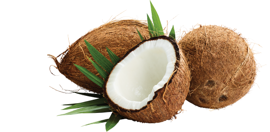 coconuts