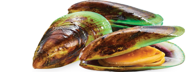 Green-lipped mussels