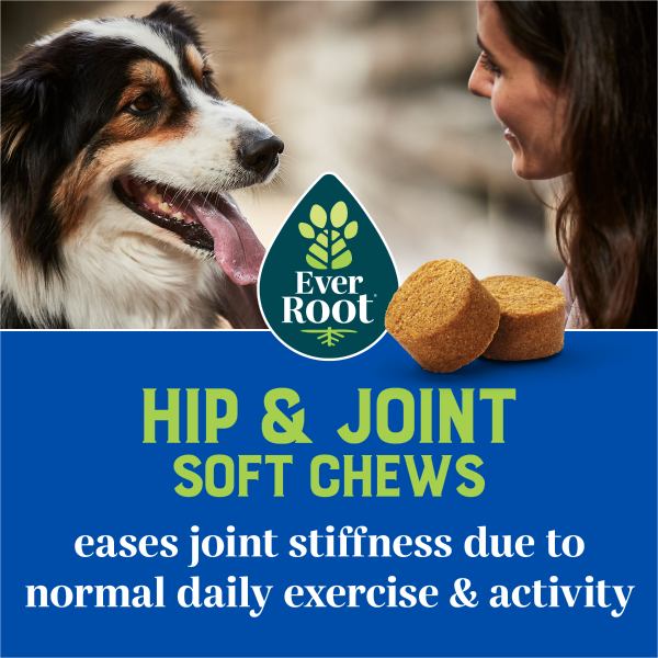 Hip and Joint Soft Chews | Eases joint stiffness due to normal daily exercise and activity.