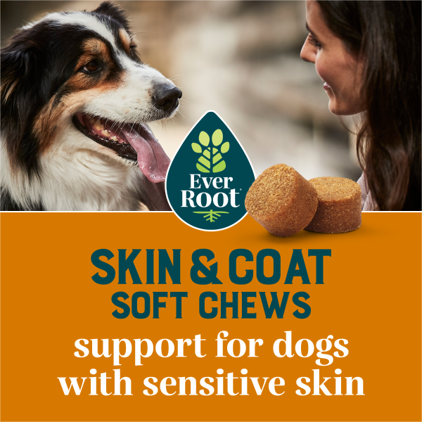 Skin and Coat soft chews | Support for dogs with sensitive skin