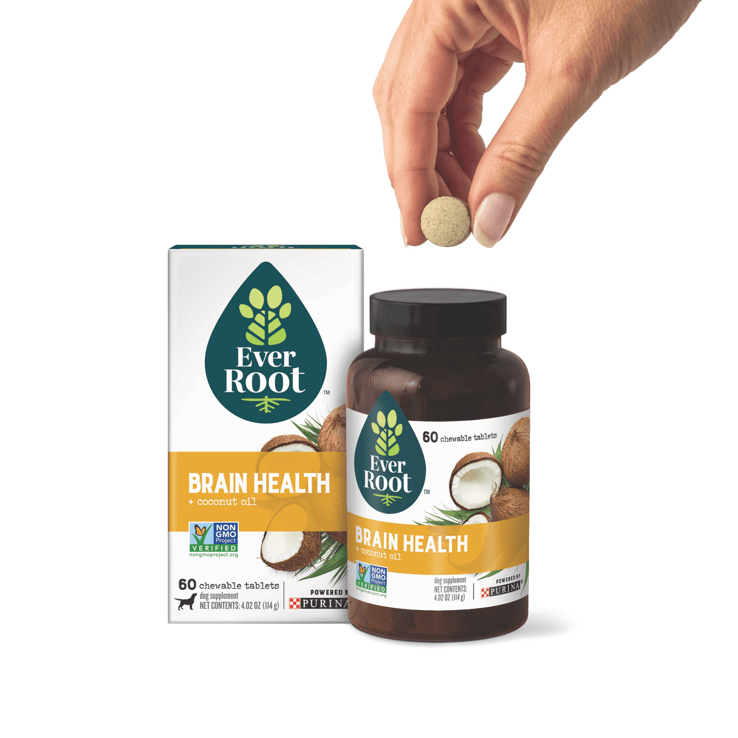 EverRoot Brain Health Chewable Tablets with packaging and hand holding tablet