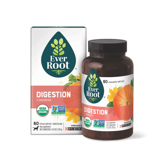 EverRoot Digestion Chewable Tablets with packaging