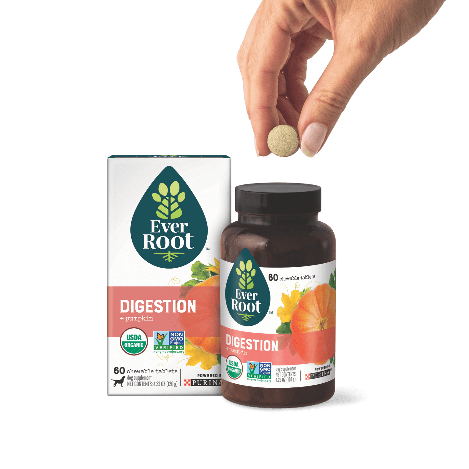 EverRoot Digestion Chewable Tablets with packaging and hand holding tablet