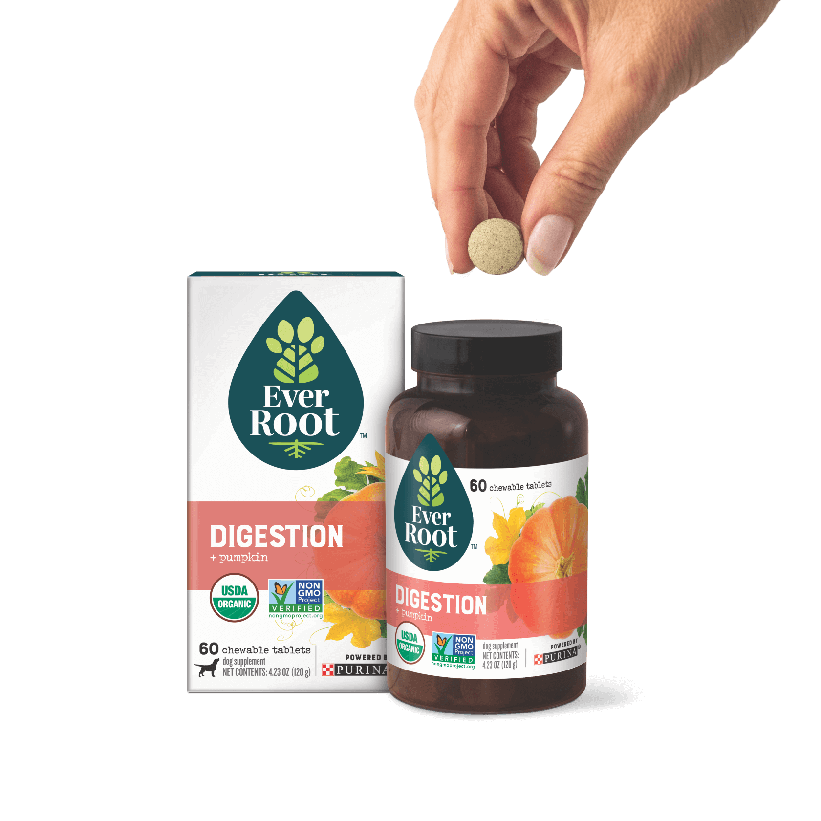 EverRoot Digestion Chewable Tablets with packaging and hand holding tablet