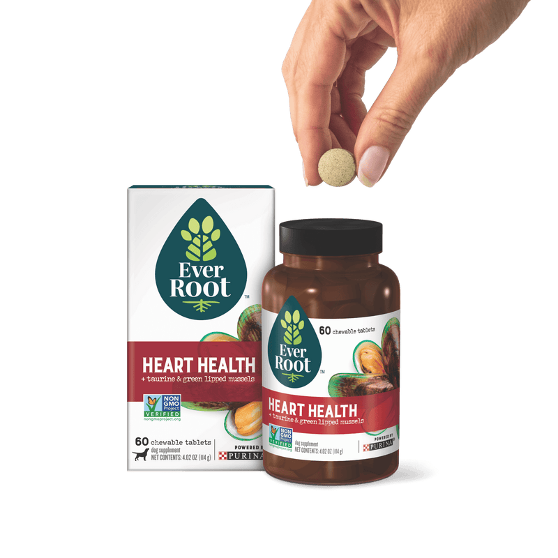 EverRoot Heart Health Chewable Tablets with packaging and hand holding tablet
