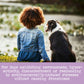child and dog sitting together
