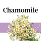 Chamomile ingredient