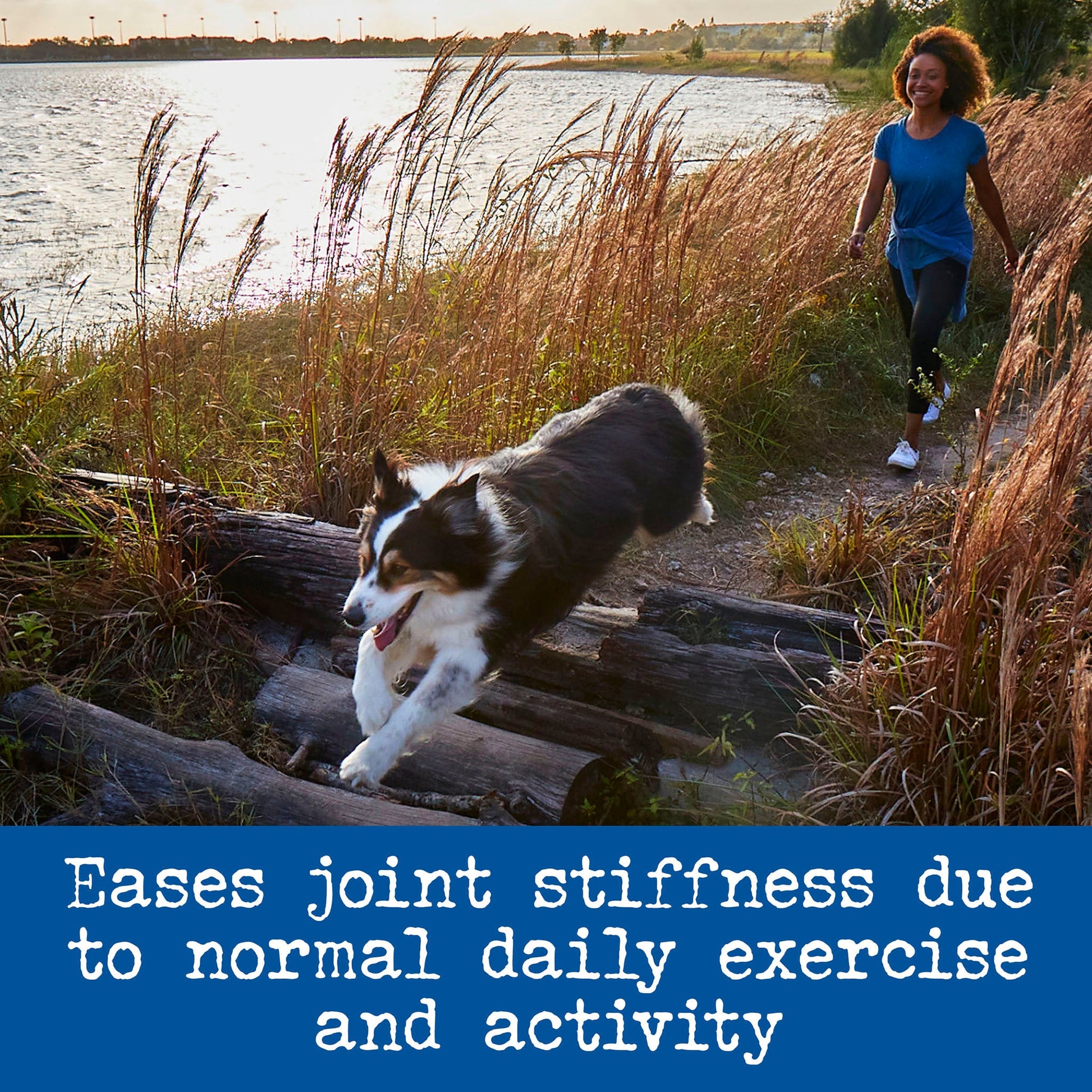 dog and woman running together