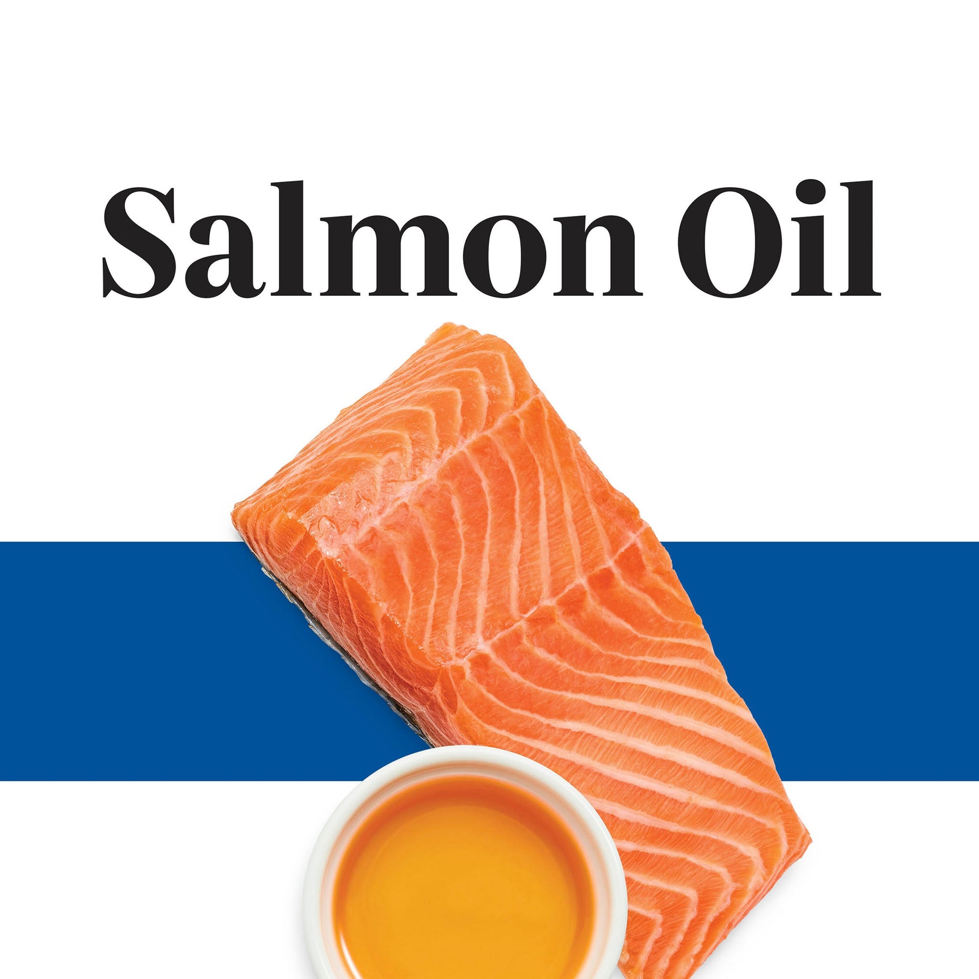 Salmon filet and salmon oil