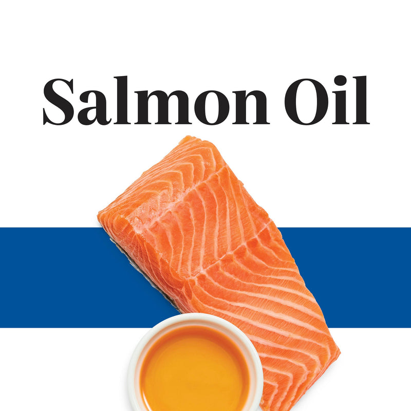 Salmon filet and salmon oil